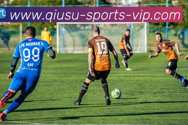 球速体育平台生态图