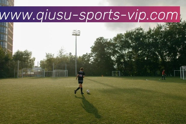 球速体育APP 封面图